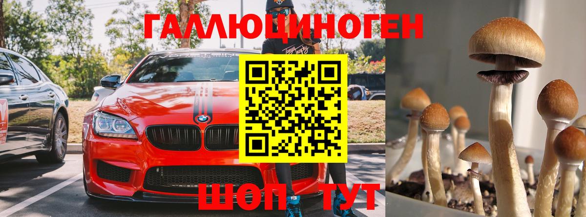 Зеленодольск  где купить наркоту  Вход с VPN  Галлюциногенные грибы мухоморы 